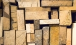 Welke houtsoort kiezen bij renovatiewerken om veilig te zijn tegen houtworm?
