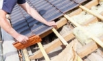 Wanneer beroep doen op een houtworm bestrijdend bedrijf bij het vervangen van een dak ?